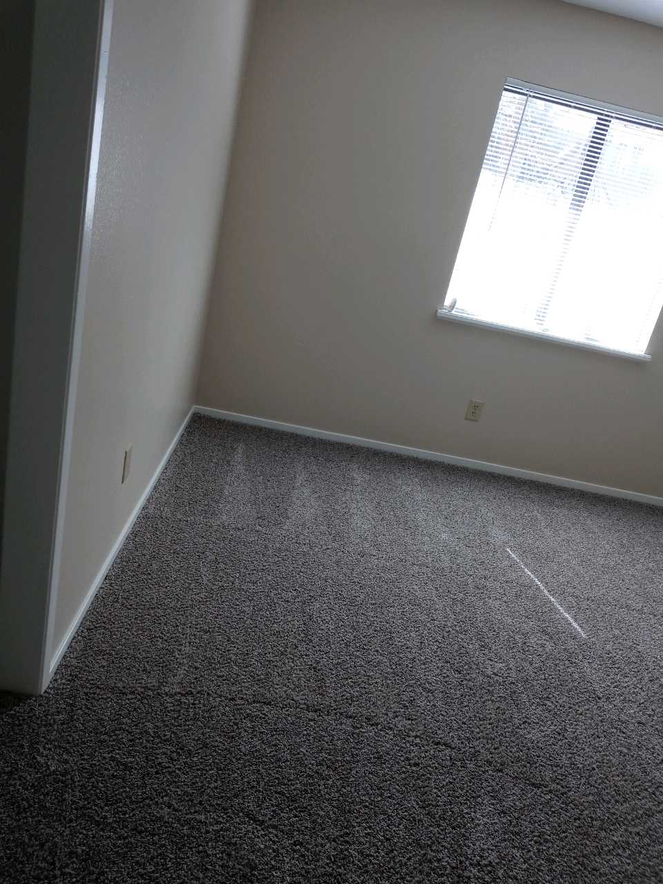 Move-Out Cleaning